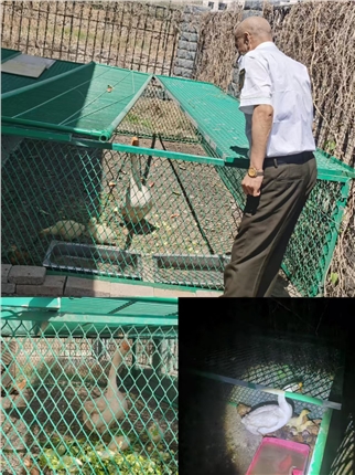 微信图片_20250429120344.jpg 微信图片_20250429120344.jpg